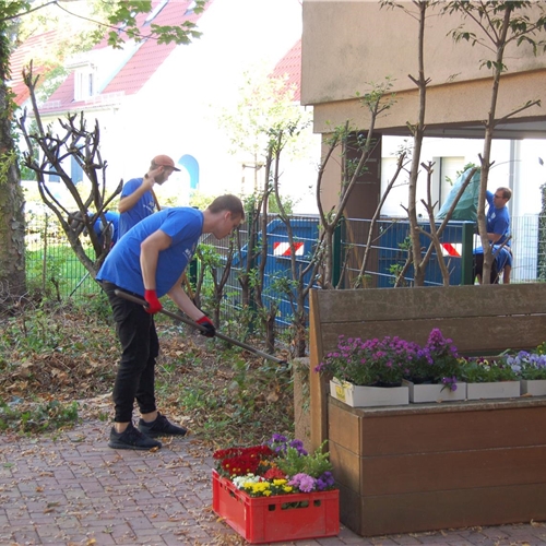 Freiwilligentag in St. Hedwig Unser Garten blüht auf!